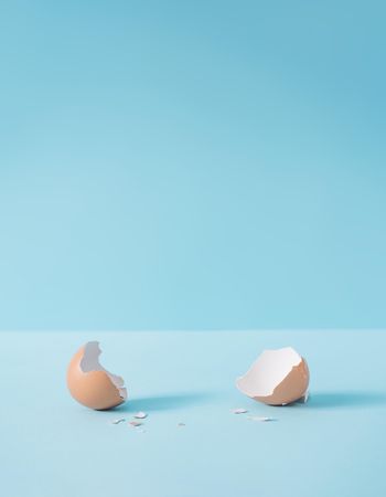 Empty eggshell with creative copy space on pastel blue background