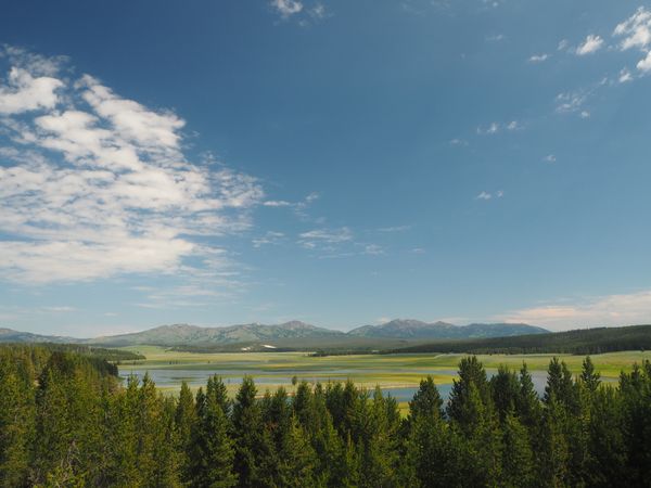Yellowstone Splendor: Vast Wilderness under Sunny Skies