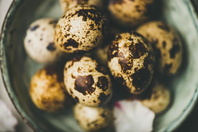 Close up of quail eggs in bowl