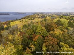 Fall trees next to Big Sandy Lake in McGregor, Minnesota 5rQKn0