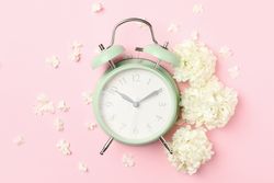 Alarm clock and beautiful hydrangea flowers on pink background