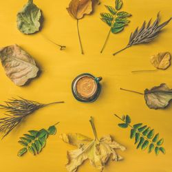 Autumn leaves, and espresso on mustard yellow background
