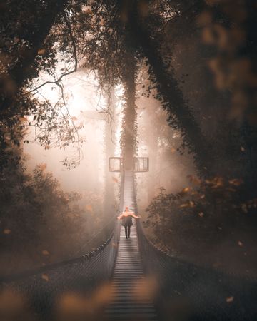 Person walking on rope bridge surrounded by trees