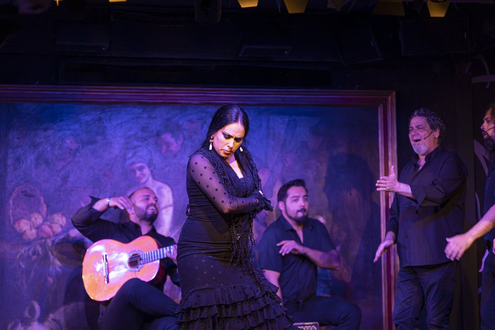 Flamenco performance on stage