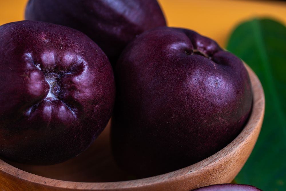 Three Syzygium malaccense or known as jambu jamaika fruits are on a yellow background