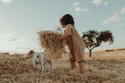 Little girl lifting a pile of hay with a dog in the background