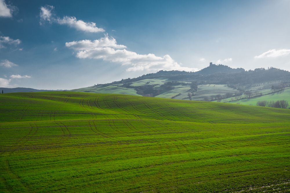 Wonderful empty green fields