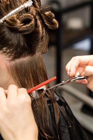 Process of cutting bob, back view