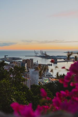 View of city and sea from hill
