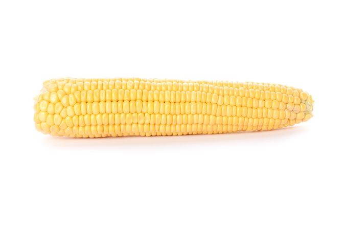 Single ear of corn isolated on plain background