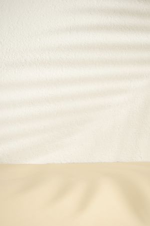 Palm leaf shadow on a a neutral beige background with copy space