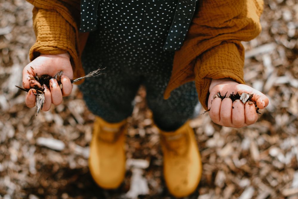 Child holding dirt in their hands