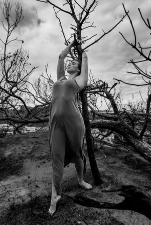 Woman posing on twigs of dry trees