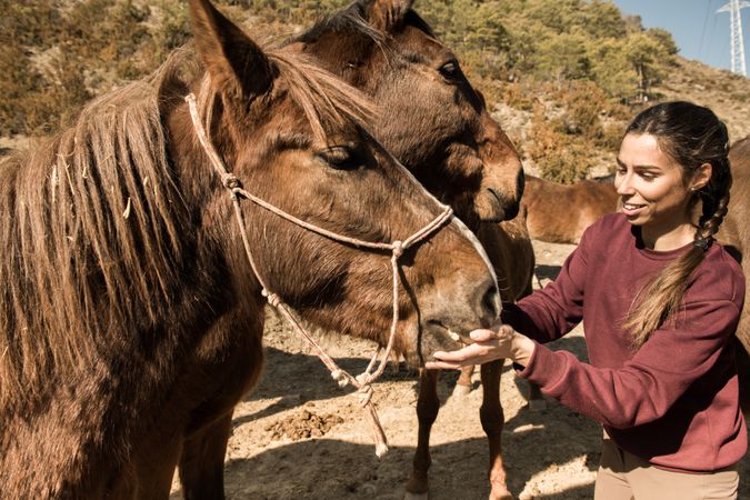 Smiling woman feeding horse