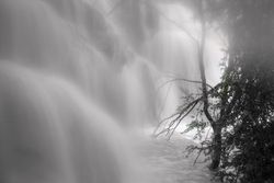 Wonderful waterfall near tree