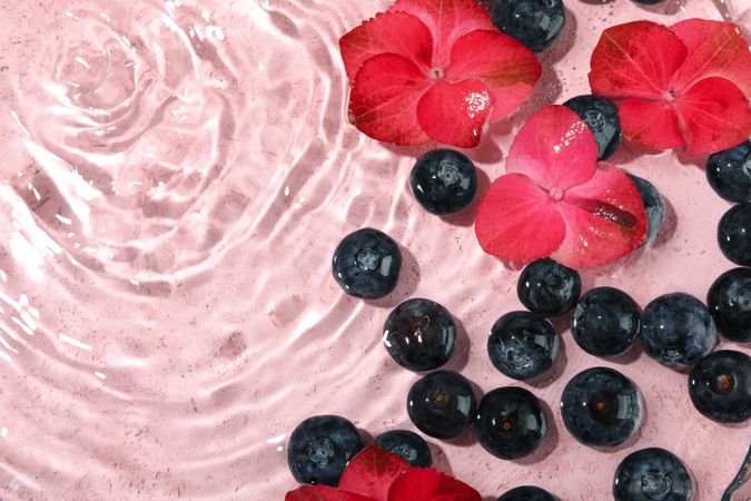 Top view of blueberries and flowers soaking in water with copy space