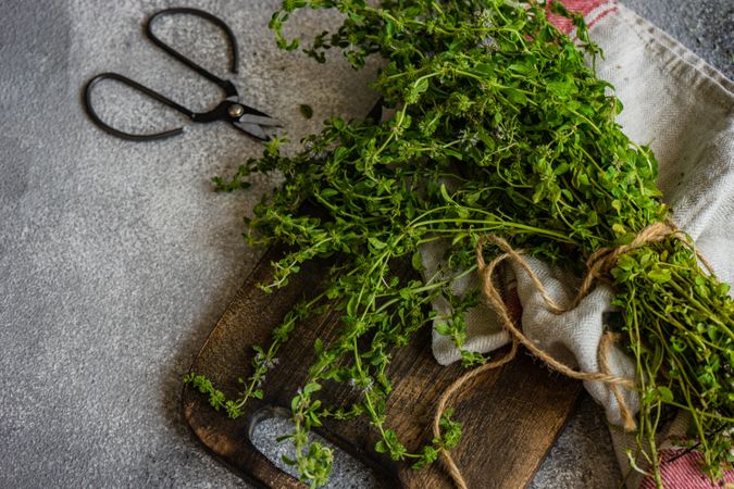 Top view of cooking concept with fresh green herbs on cutting board