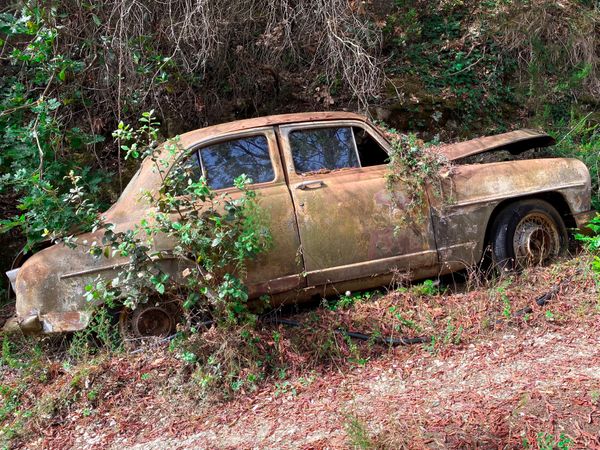 SIde view of rusty automobile abandoned in forest