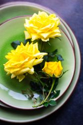 Green table setting with yellow roses