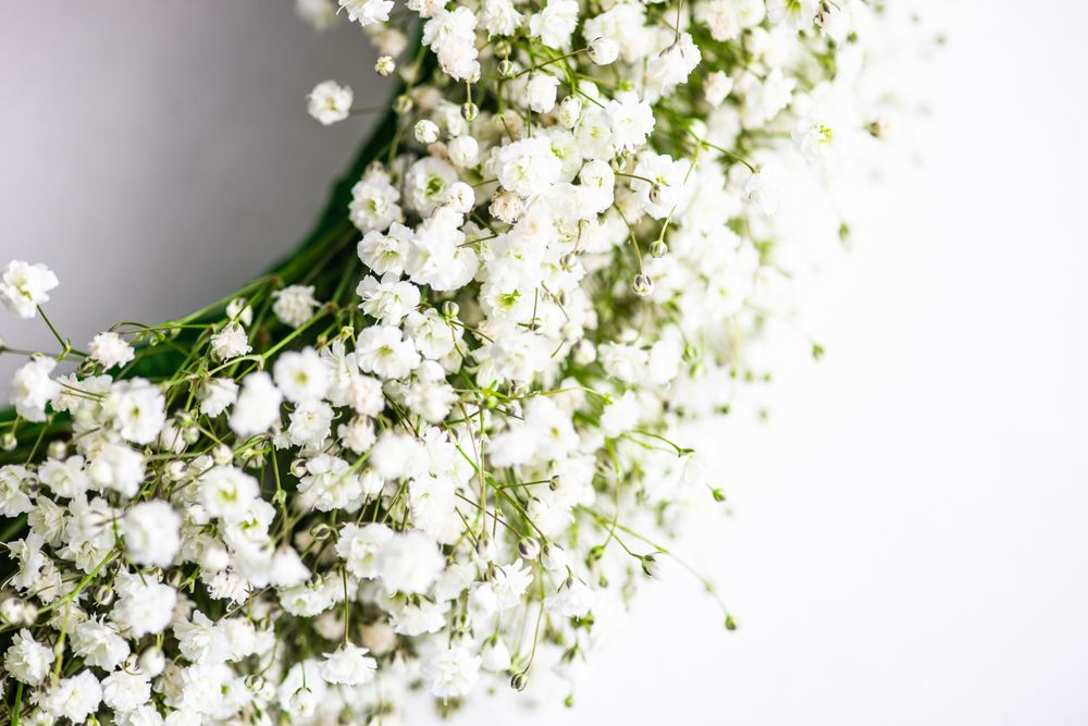 Headdress of gypsophila paniculata flowers on table