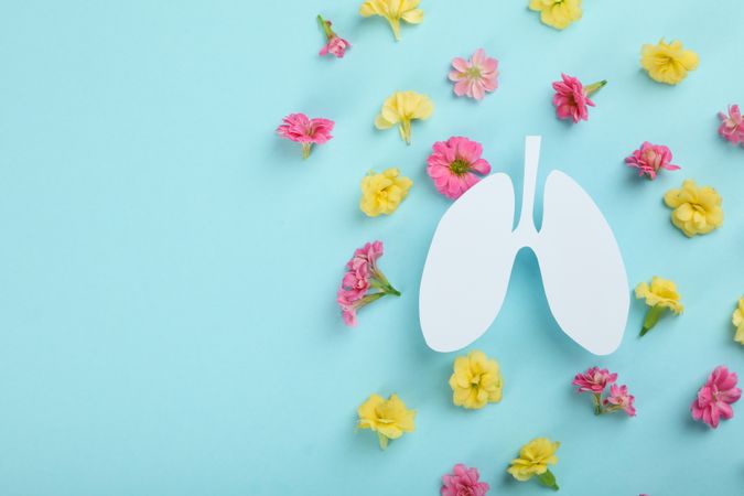 Lung cut out from paper on blue background surrounded by flowers with copy space
