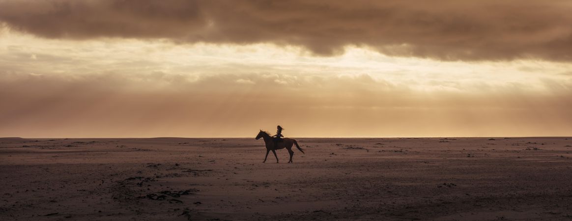Wide angle shot in the evening of woman horse riding on the sea shore