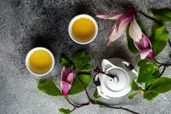 Top view of magnolia flowers with green tea and teapot on grey background