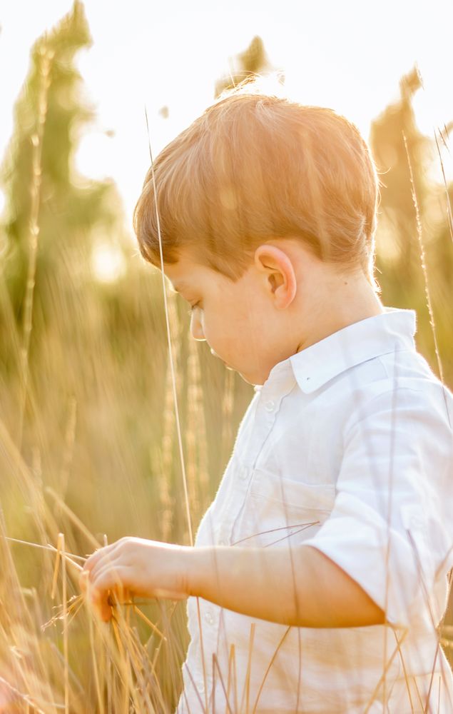 Kid in field playing with spikes at summer sunset