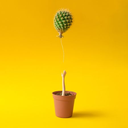 Doll hand reaching for cactus balloon out of flower pot on yellow background
