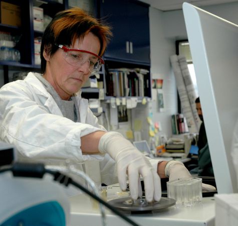 Frederick, MD - USA, Feb 2005: Female scientist in PPE working in laboratory