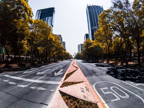 Road between green trees near high rise buildings in Mexico