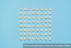 Popcorn flakes aligned symmetrically on a blue background 0VwLX5