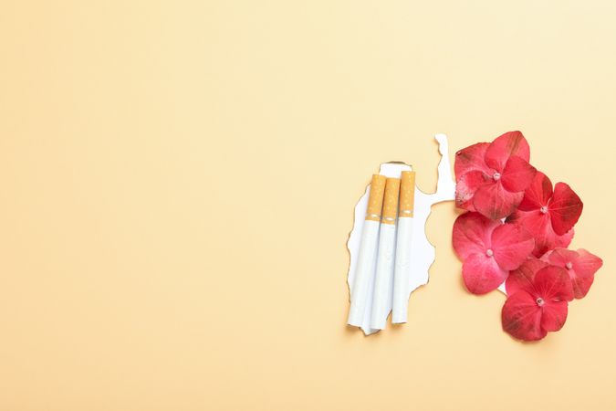 Cigarettes on burnt paper with flowers with copy space