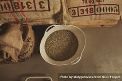 Container of raw coffee beans on cement floor surrounded by bags 4dBwA0