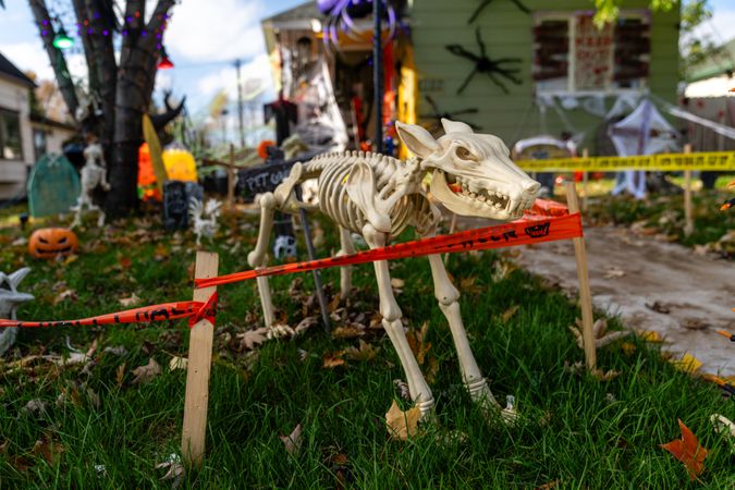 Skeleton dog halloween decoraiton
