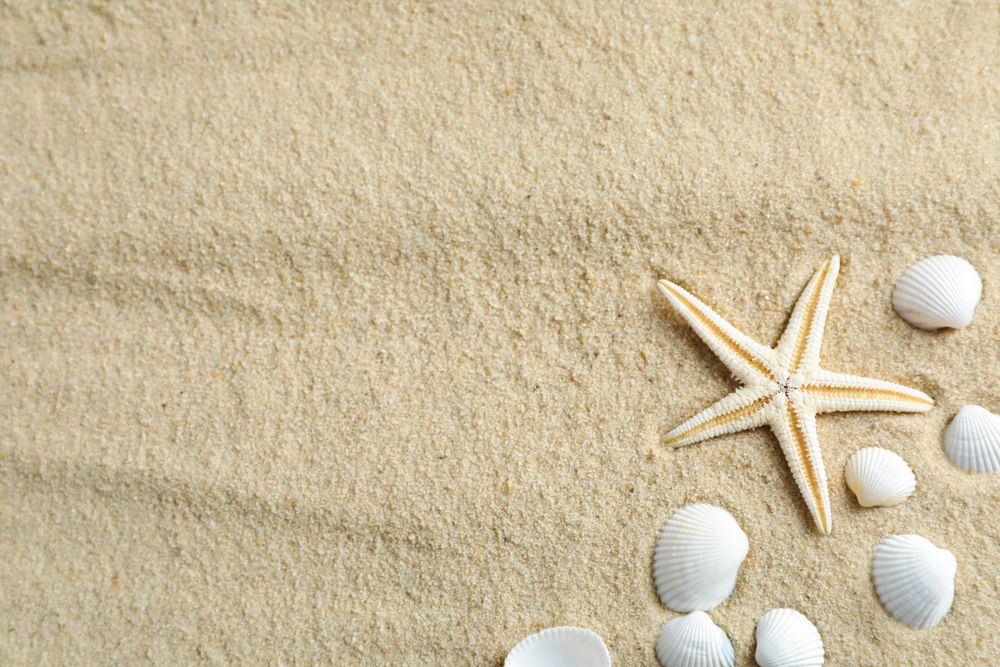 Clear sea sand with starfish and seashells, space for text and top view. Summer vacation background