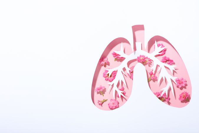 Lung shape cut out of paper with bronchus and pink flowers underneath with copy space