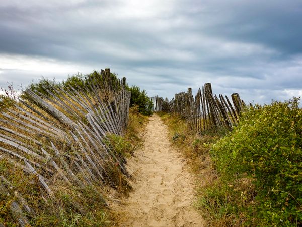 The coastal path at dawn, La Couarde sur Mer, France
