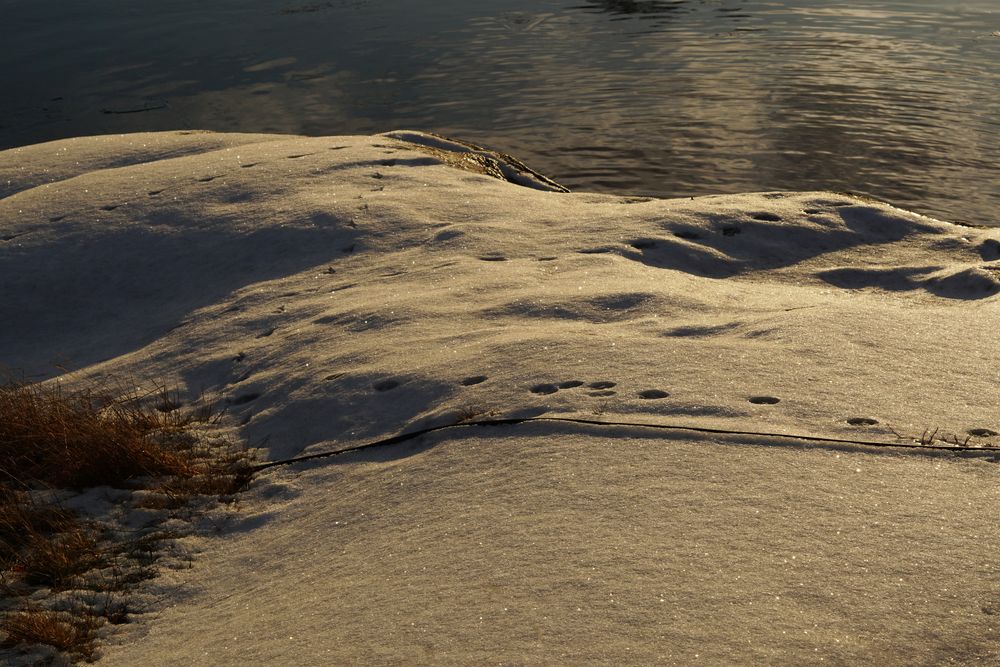 frosted river bank at winter on vibrant sunset