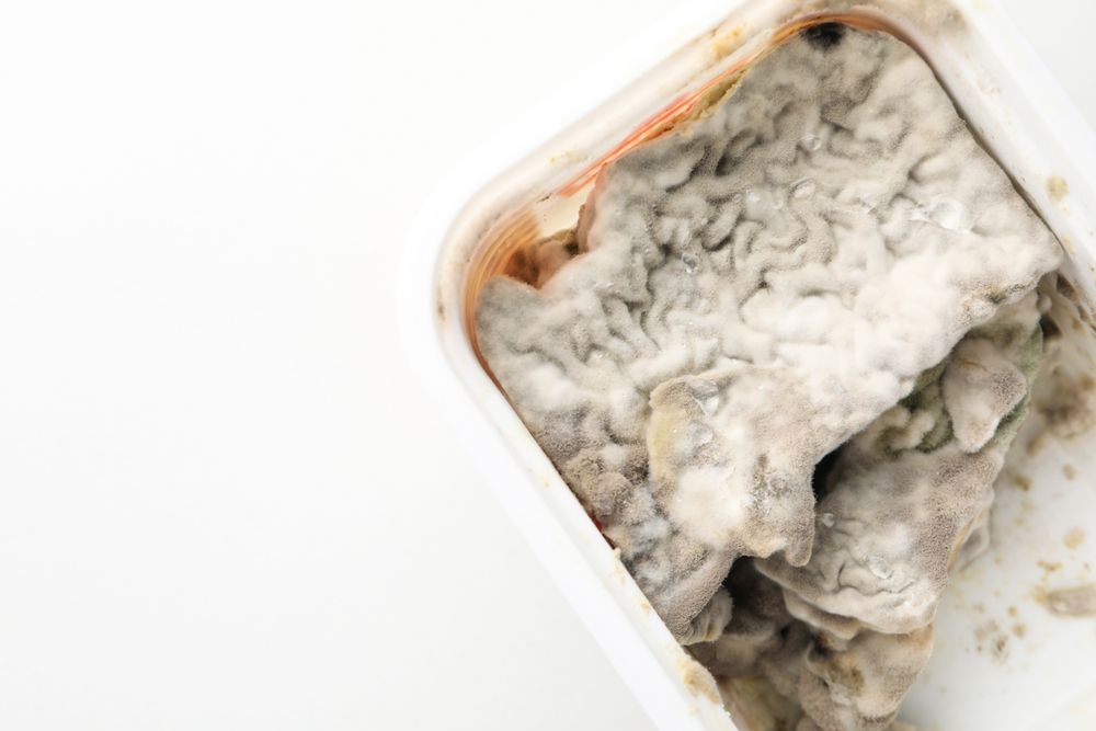 Container with mold on light background, space for text