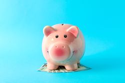 Happy piggy bank with dollars on color background, space for text. Finance, saving money