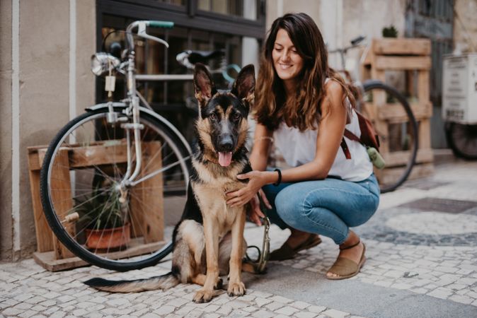 Adorable german shepherd with owner on street
