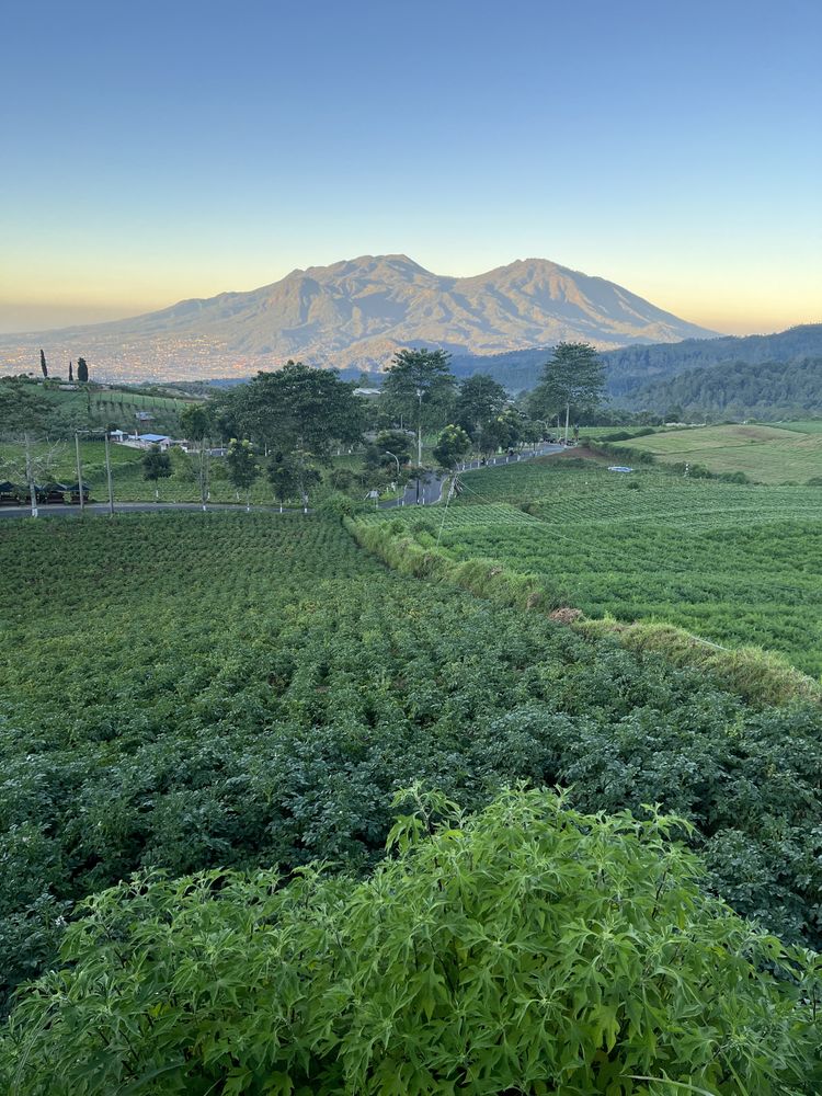 Morning With Mountain Background