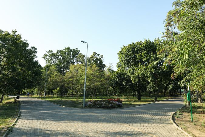 Beautiful city park in bright sunny morning