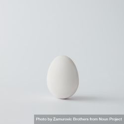 Minimal plain egg on light background 0PMzm5