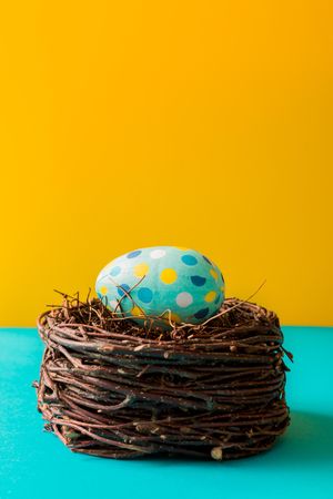 Colorful Easter egg in nest on cyan and yellow background