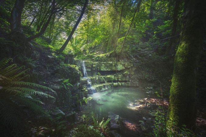 Stream waterfall inside a forest, Chianni, Tuscany, Italy