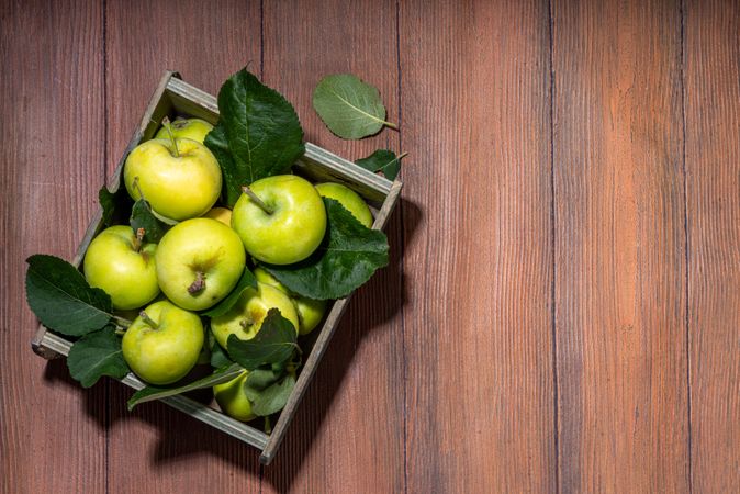 Fresh farm organic summer green apples