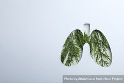 Lung shape cut out of paper with green plant underneath with copy space 5RmpN0