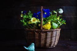 Basket of spring flowers